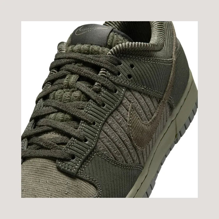 nike-dunk IB7746-300