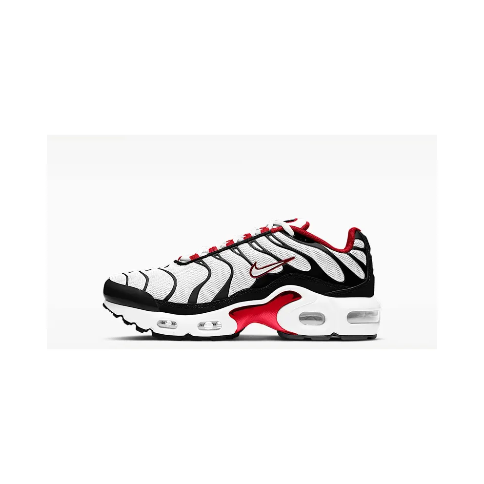 Nike Air Max Plus Schwarz (CD0609-007)