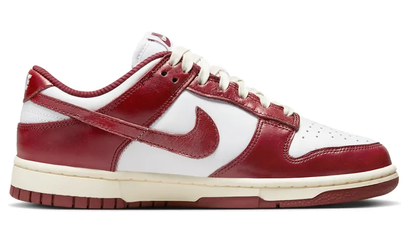 nike-dunk FJ4555-100