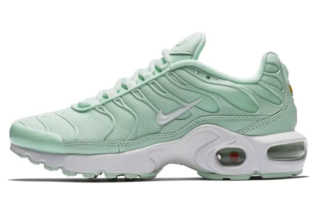 Nike Air Max Plus Igloo (GS) (718071-300)