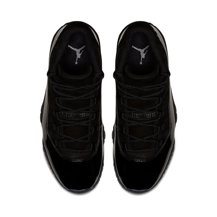 air-jordan-11 378037-005