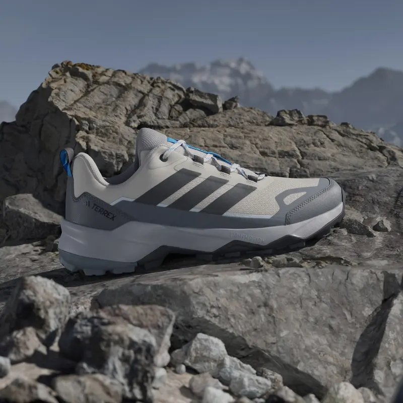 Adidas Terrex Skychaser Ax5 Hikingschoenen Beige / Carbon / Grey Four (JR3975)