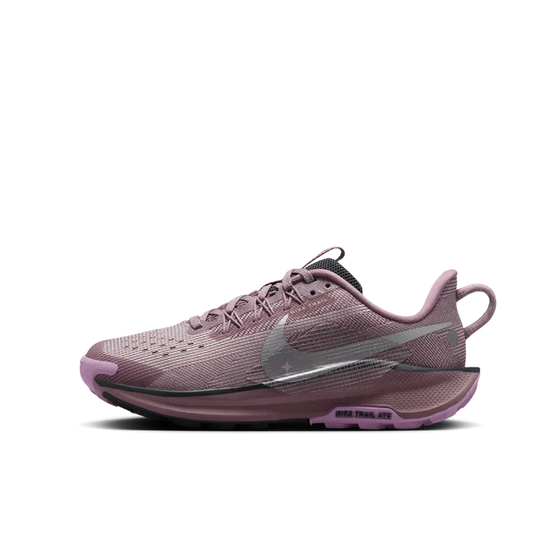 Nike Pegasus Trail 5 Plum Dust Platinum Violet Beyond Pink Metallic Silver (FV5638-500)