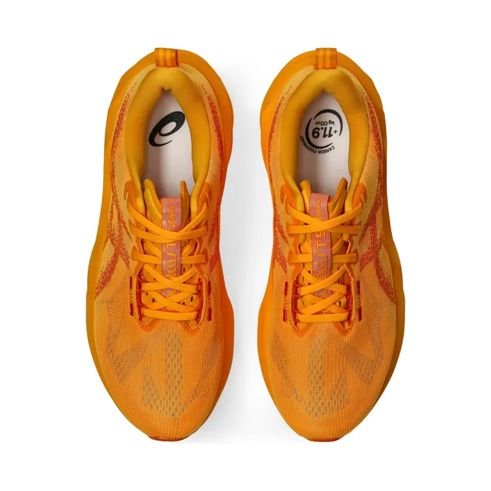 asics-novablast 1011B974-800