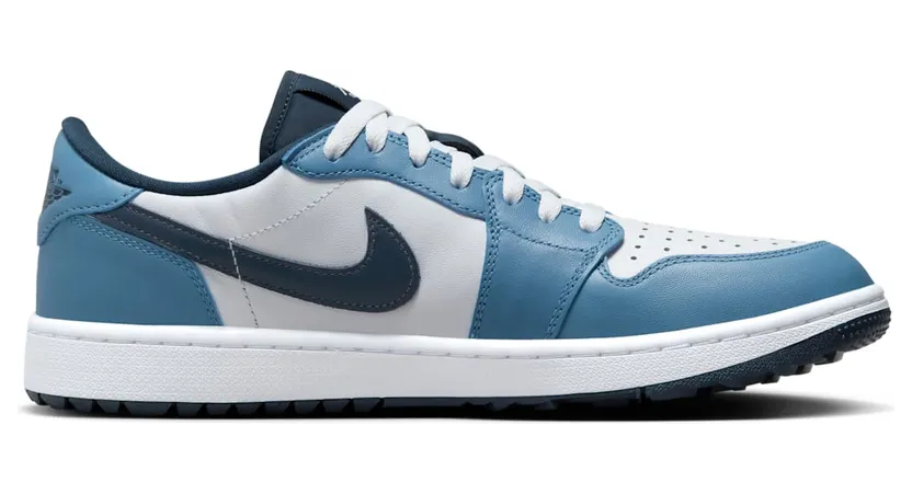 air-jordan-1 DD9315-115