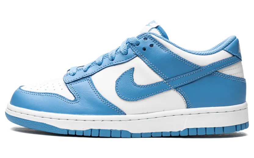 Nike Dunk Low University Blue (2021) (DD1391-102)