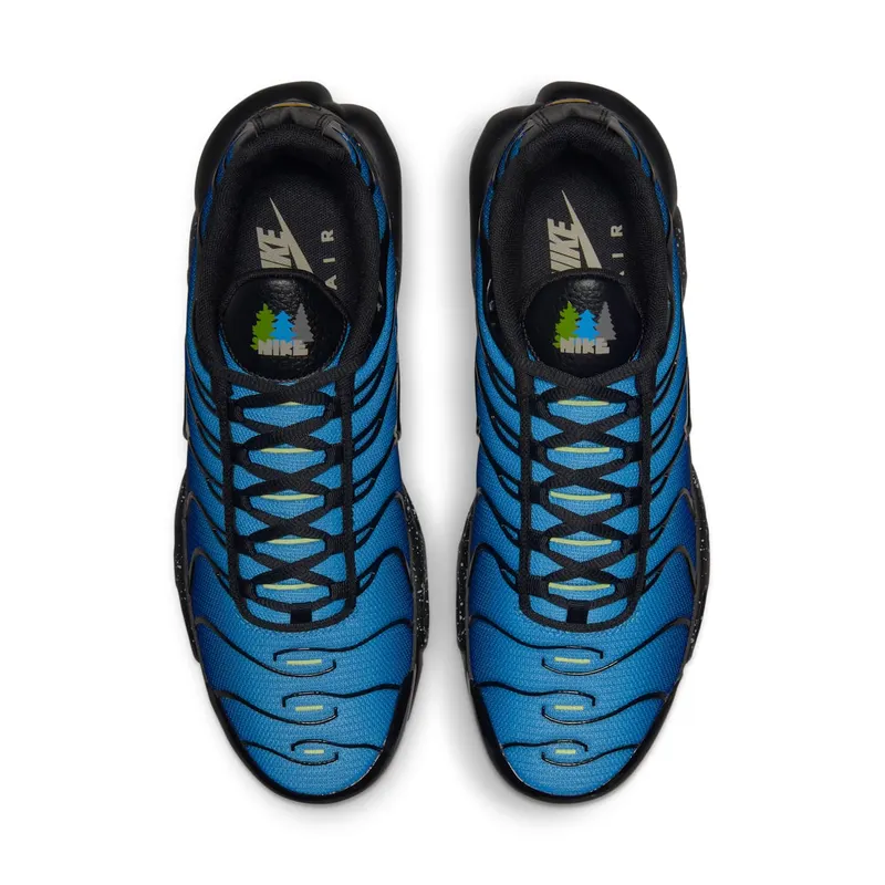 Nike TN Air Max Plus Blue Gradient (DV3493-001)