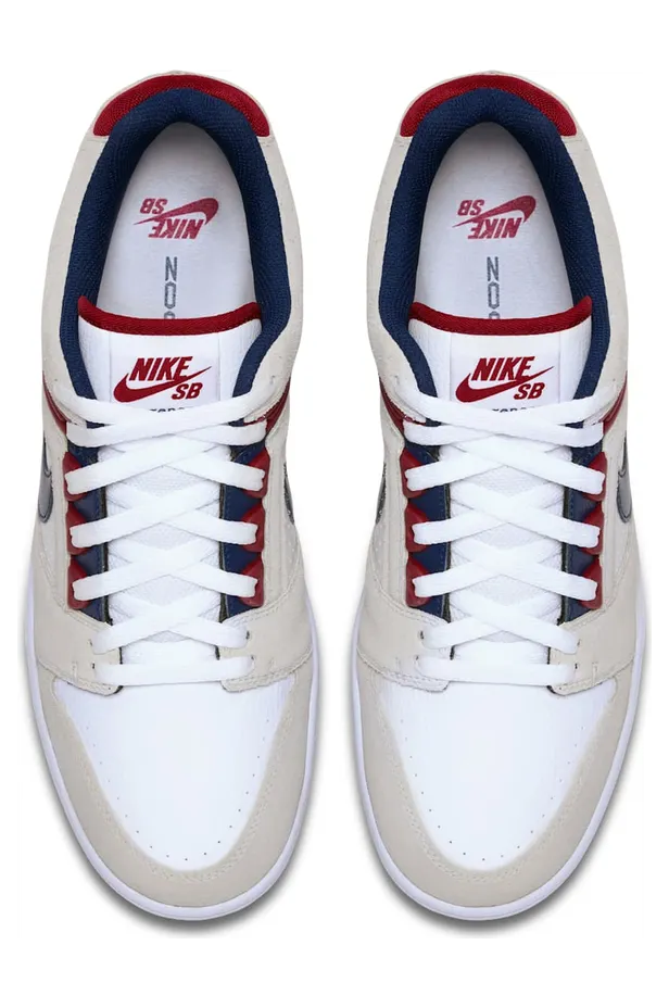 nike-sb AO0300-100