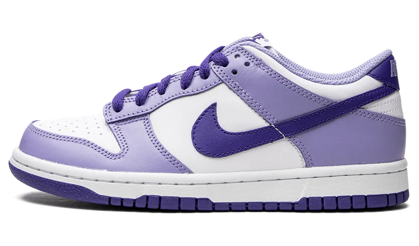 Nike Dunk Low GS “Blueberry” (DZ4456-100)