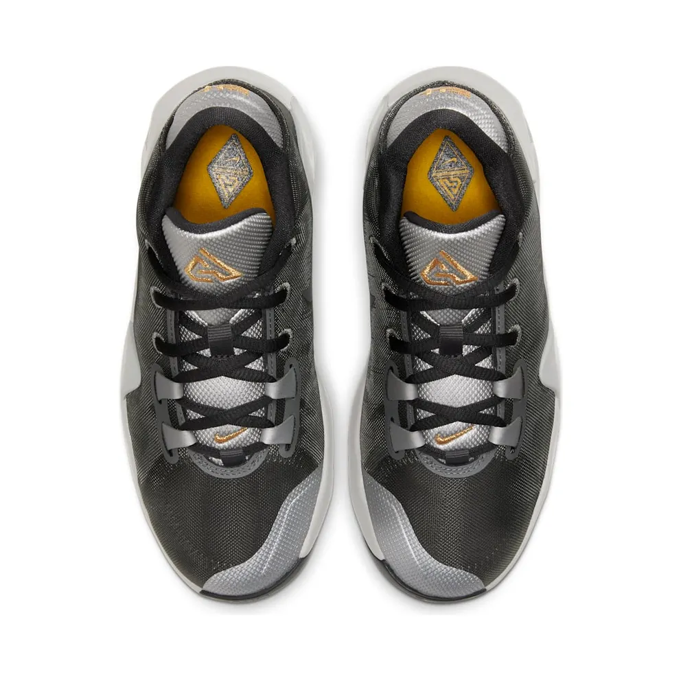 Nike Zoom Freak 1 Smoke Grey (GS) Smoke Grey/Metallic Silver-Metallic Gold (BQ5633-050)