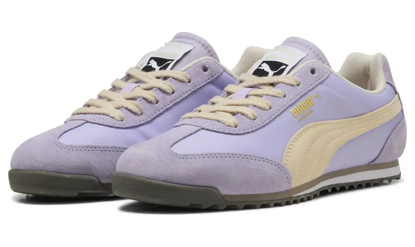 puma-arizona 398682_35