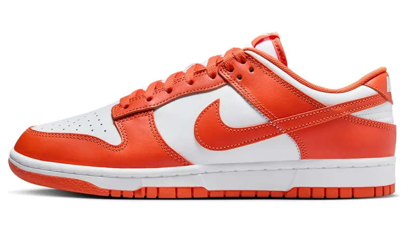 Nike Dunk Low DV0833-114
