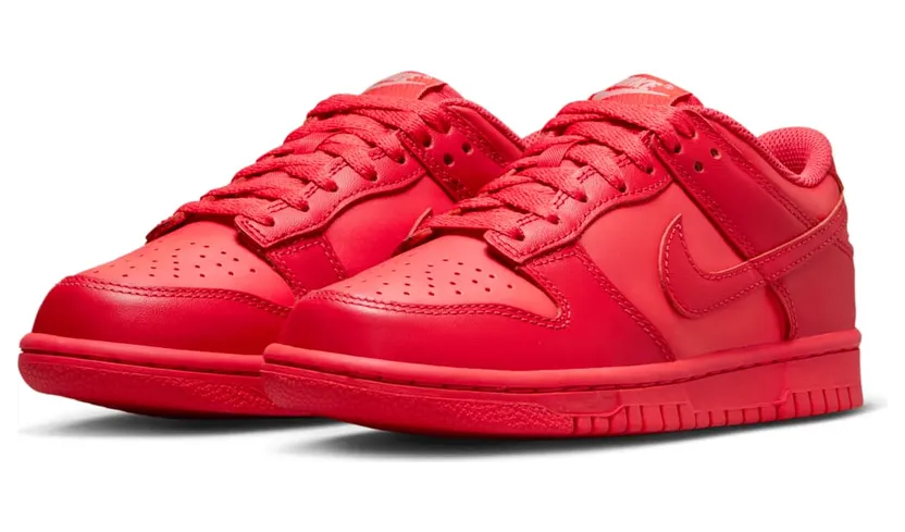 nike-dunk DH9765-601