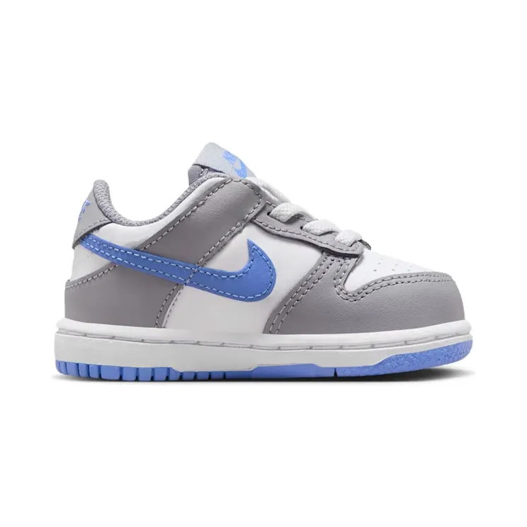 nike-dunk FB9107-121