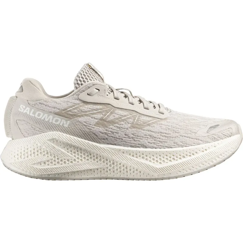 Salomon Aero Glide 4 Silver Cloud (L49147200)