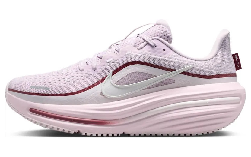 Nike Winflo 12 Paars (HV9273-500)