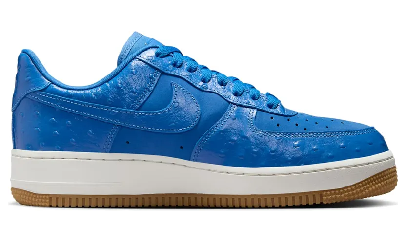 nike-air-force DZ2708-400