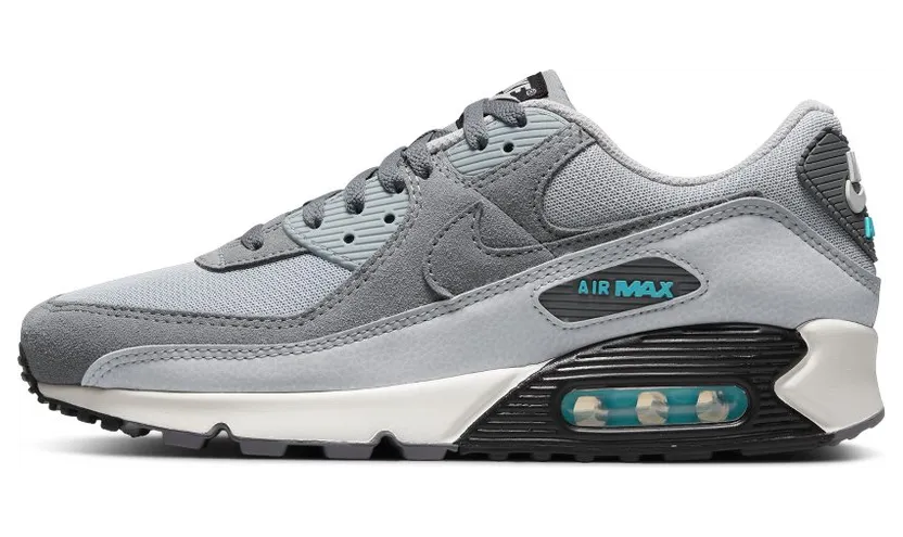 Nike Air Max 90 Grijs (DM0029-002)