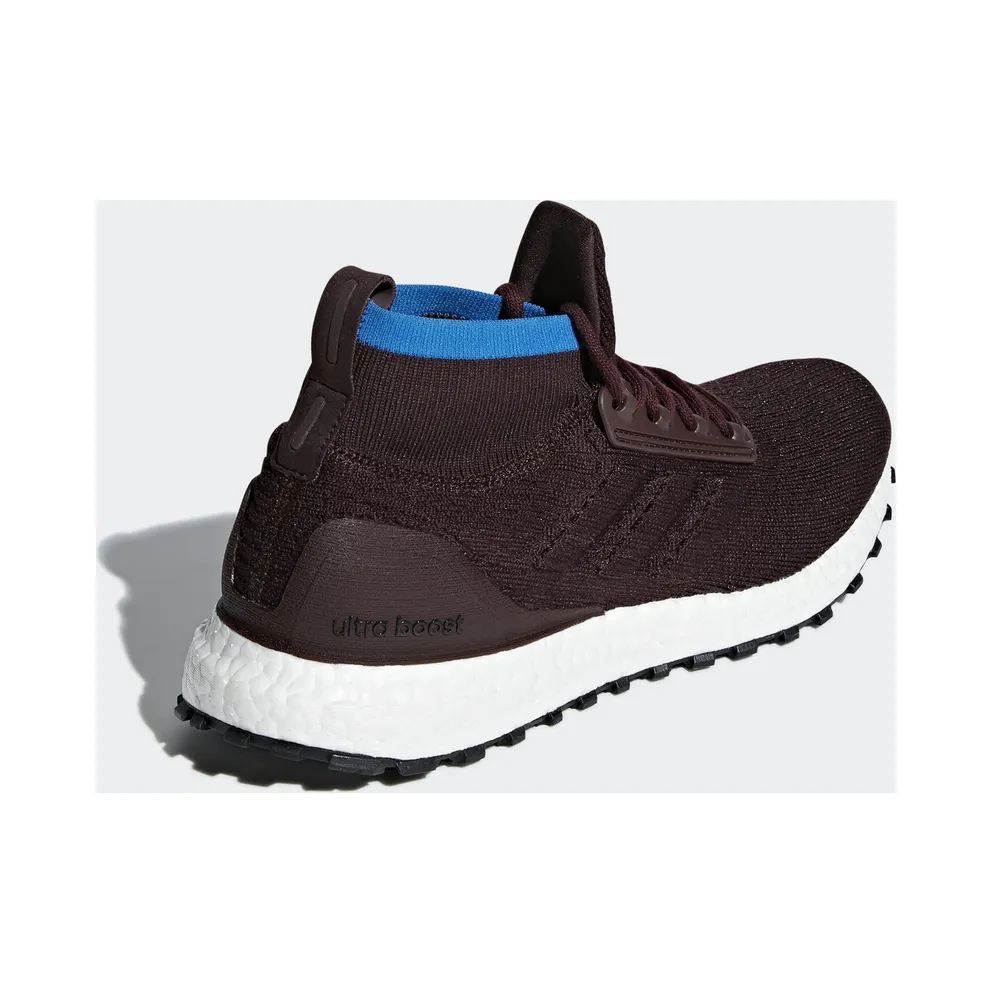 adidas Ultra Boost All Terrain Night Red Bright Blue Night Red/Noble Maroon/Bright Blue (CM8255)