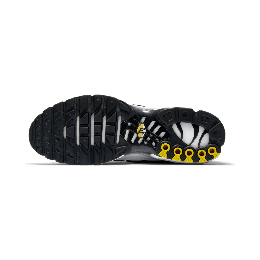 Nike Air Max Plus White Black Metallic Pewter White/Black-Metallic Pewter (CT1094-102)
