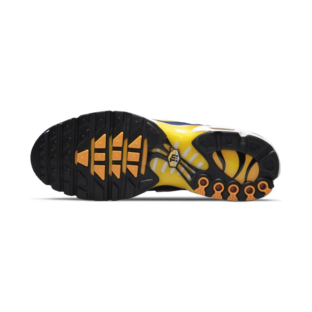 Nike Air Max Plus Blue (DM3530-400)