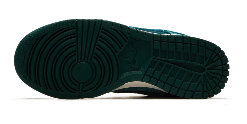 nike-dunk DZ5224-300