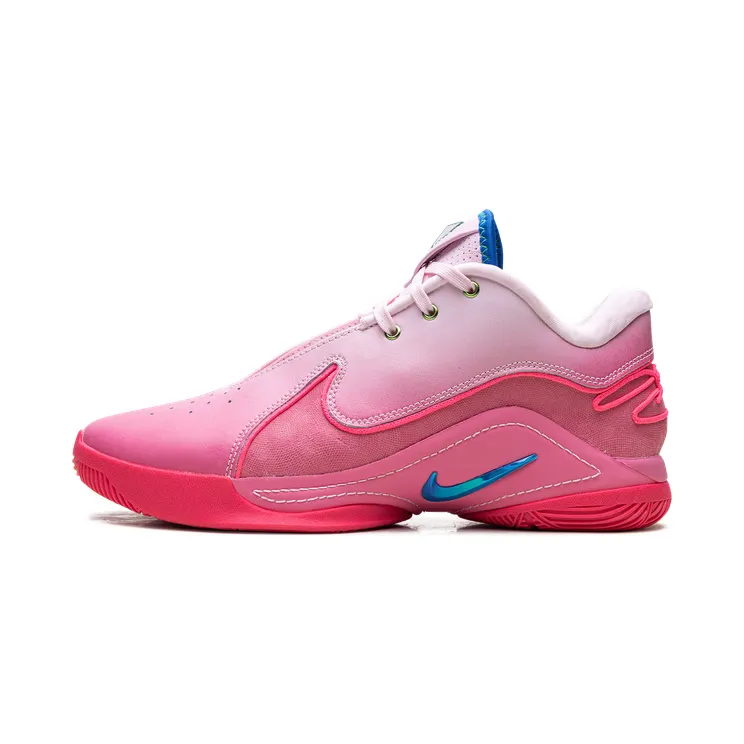 Nike LeBron 22 “I Promise” (HV8456-600)