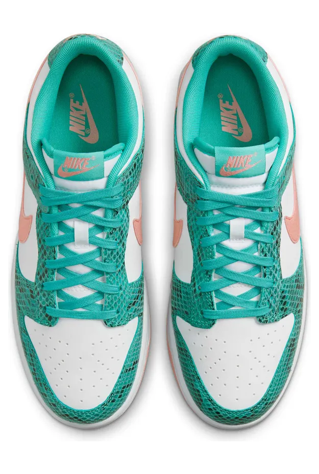 nike-dunk DR8577-300