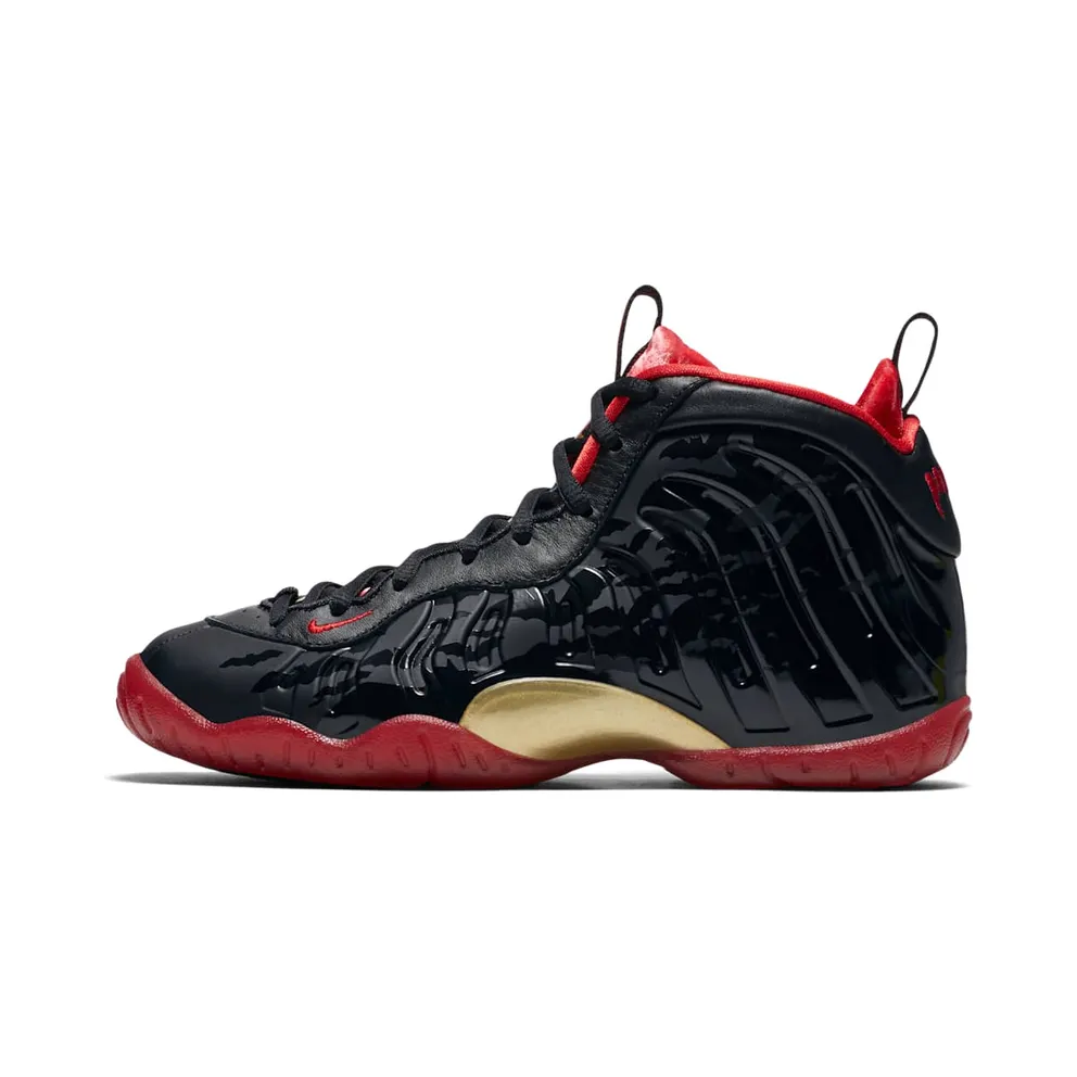 Air Nike Foamposite One Dracula (GS)