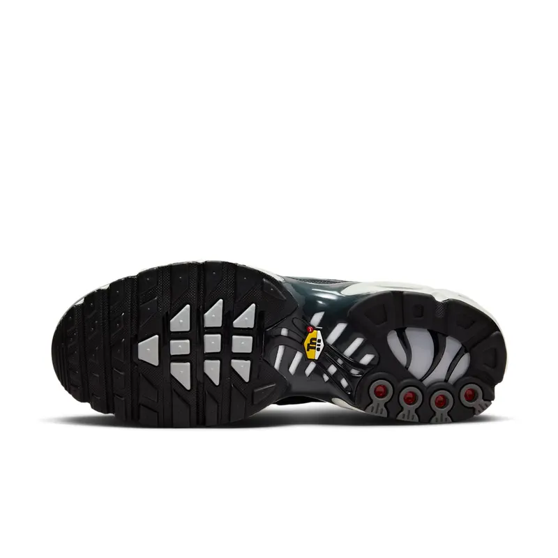 Nike Air Max Plus Greyscale Cool Grey (DZ2655-001)