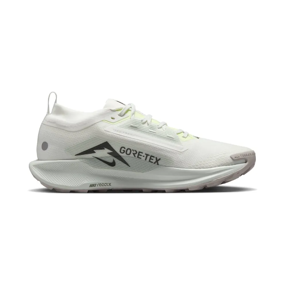 Nike Pegasus Trail 5 Gore-Tex Summit White Light Silver College Grey Sequoia (FQ0908-102)