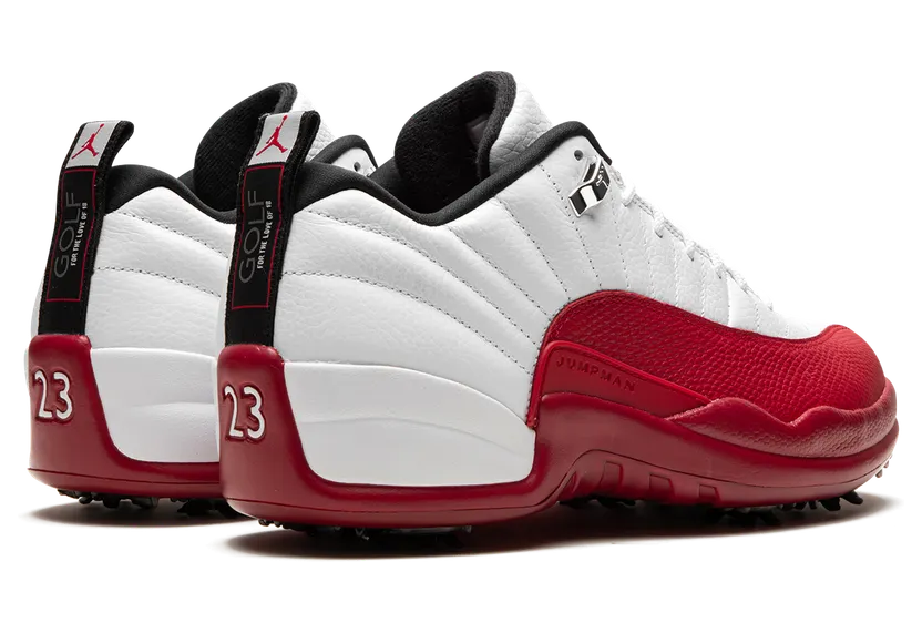 air-jordan-12 DH4120-161