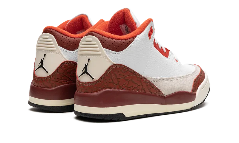 Air Jordan 3 PS “Dunk On Mars” (DV7027-108)