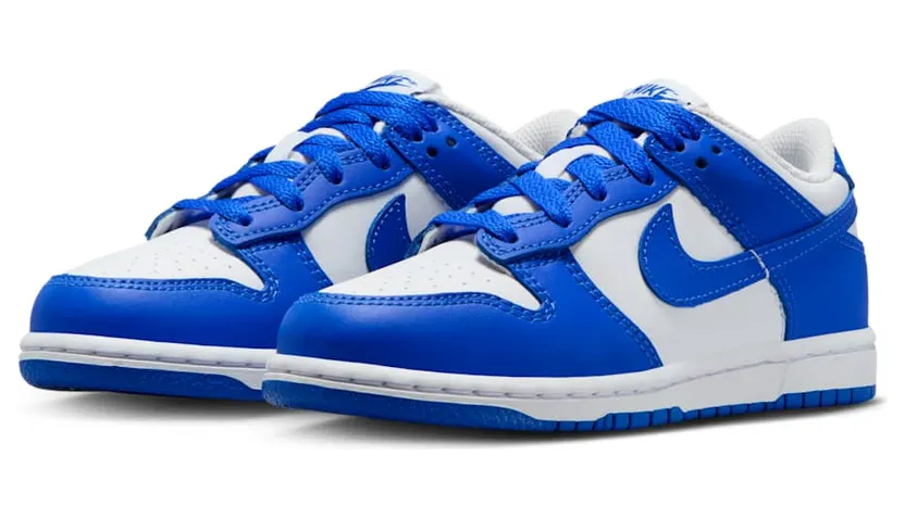 nike-dunk FB9108-131