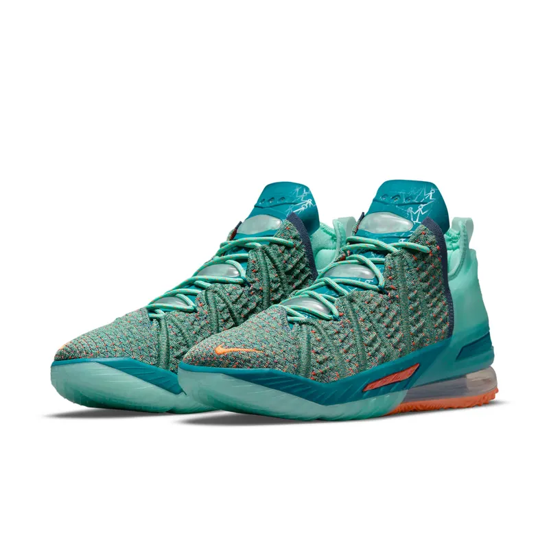 Nike LeBron 18 We Are Family (CQ9283-300)