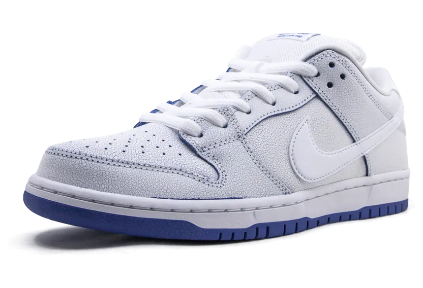nike-dunk-sb CJ6884-100