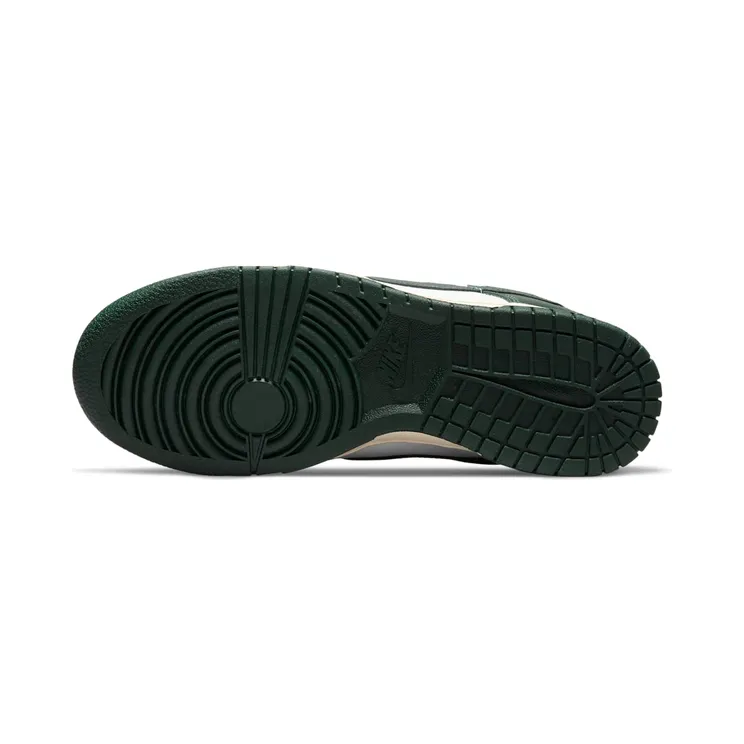 nike-dunk DQ8580-100