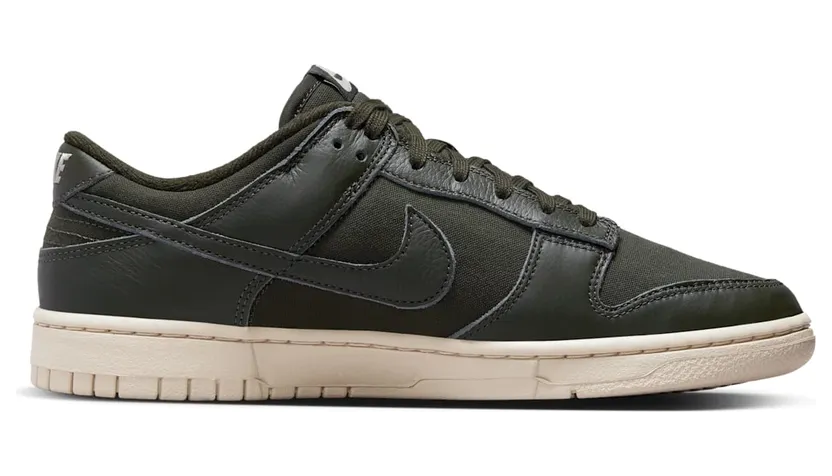 nike-dunk DZ2538-300