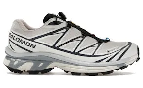 Salomon XT-6 Silver Cloud / Black (L49201400)