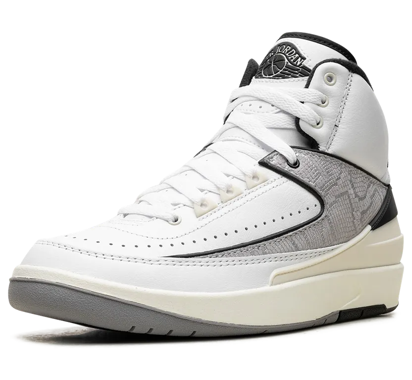 air-jordan-2 DQ8562-102