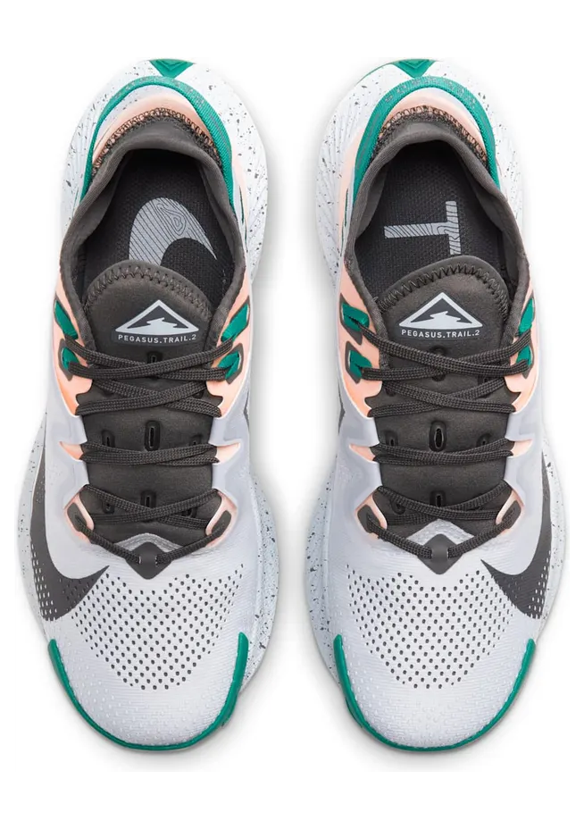 nike-air-pegasus CK4309-004