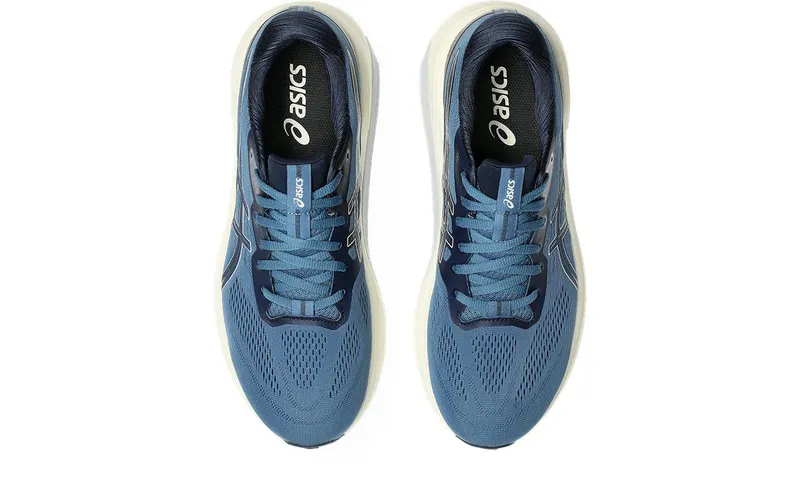 ASICS GT-1000 4 Winter Sea Birch (1011B871-401)