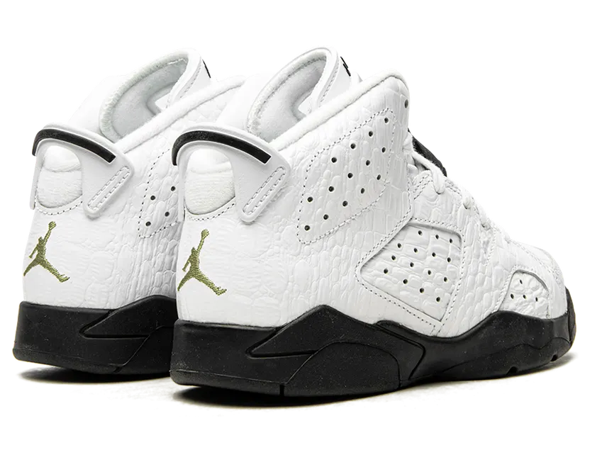air-jordan-6 384666-110