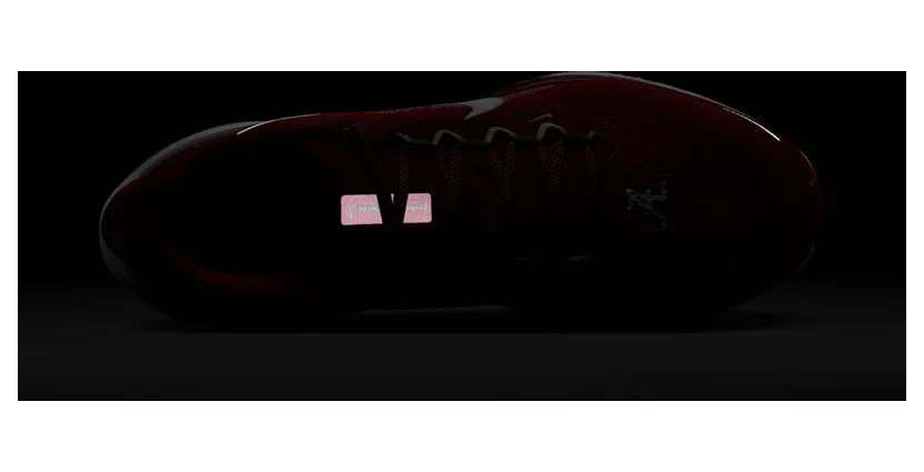 nike-air-zoom FZ5103-600