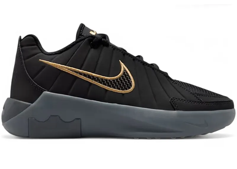 Nike LeBron Witness 9 Black Iron Grey Gold (HV2270-004)