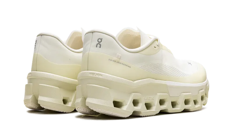 On Running Cloudmonster 2 “Post Archive Faction – Seeding White” (3WE10351062)