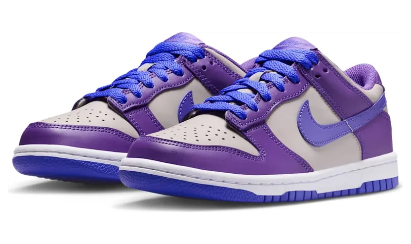 nike-dunk FB9109-007