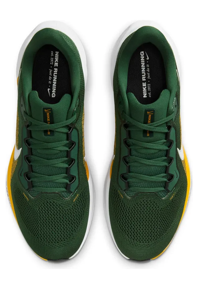 nike-air-zoom IB3216-300
