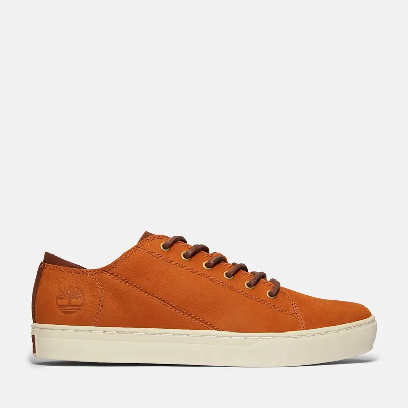 Lage Timberland ADV 2.0 CUPSOLE MODERN OX (TB0A41AQF13)