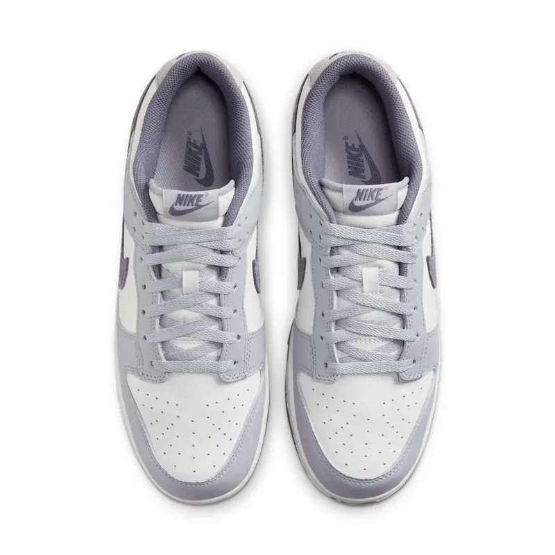 Nike Dunk Low SE Light Carbon Grey (FJ4188-100)